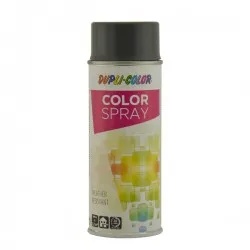 Dubli-Color Color Spray Demir Gri (Iron Grey) Ral 7011 (400ml)